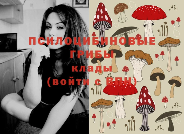 кокаин Дмитриев
