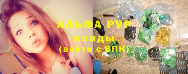 крисы Дмитровск