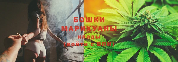 крисы Дмитровск