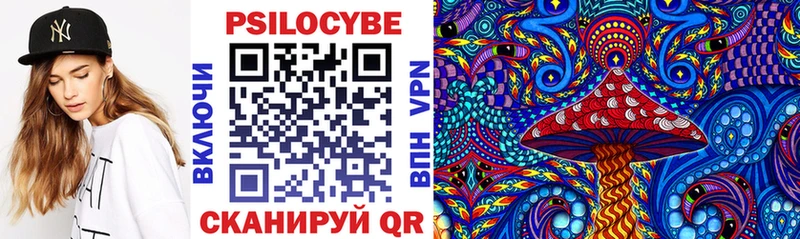 Купить  Знаменск  Псилоцибиновые грибы Psilocybe 